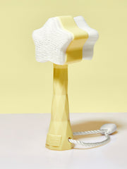 cleansing face brush